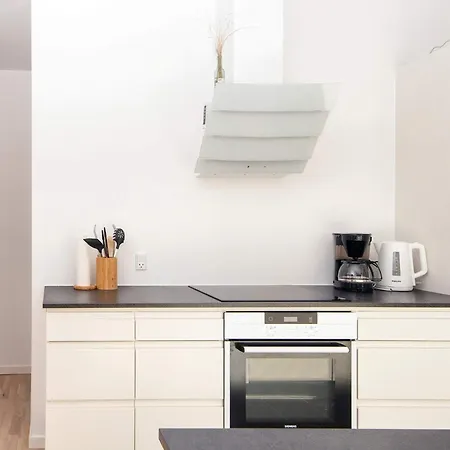 度假居 Four-bedroom Holiday In Romo 11 *